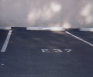 [The Spot]